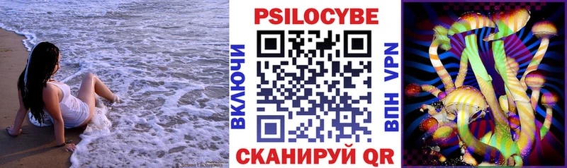 купить   Сертолово  Галлюциногенные грибы Psilocybine cubensis 